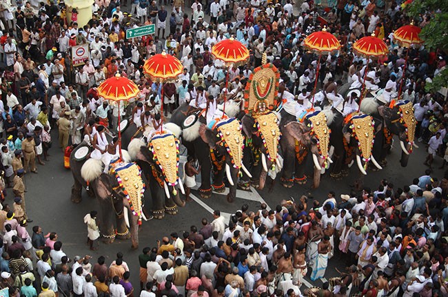 04-culture-thrissur-gold-caparisoned-elephants-in-pooram-festival-in-thrissur-april-2010-bb7ee24933